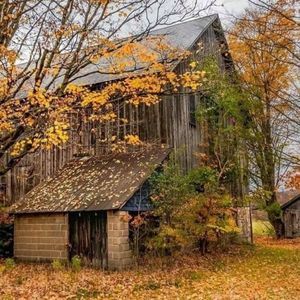 Meet your Posher, Leyla